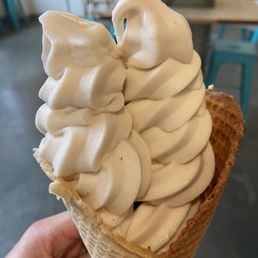 Hazelnut praline non dairy fro yo