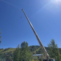 Robinson Crane