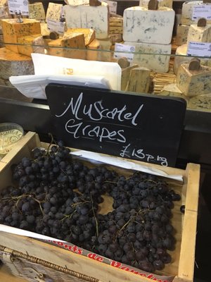 Paxton & Whitfield by null