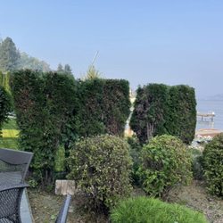 HBD Home & Maintenance - More hedge triming