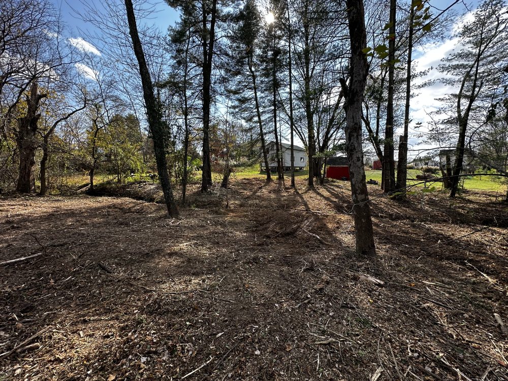 Outdoor Organics - tree service in Mcclure, PA