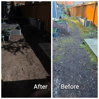 Le Landscape & Yardwork - Landscaping Near Me - Seattle, Washington Le Landscape & Yardwork - Landscaping Near Me - Seattle, Washington