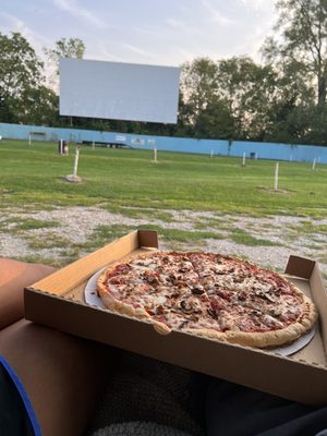 The Skyline Drive-In by null