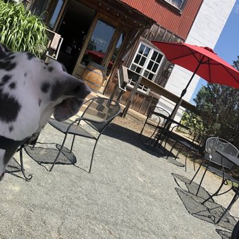 Bogati Winery - Sophies waiting for the young lady to bring her some pizza... - Wine Bars Near Me - Berryville, Virginia Bogati Winery - Sophies waiting for the young lady to bring her some pizza... - Wine Bars Near Me - Berryville, Virginia