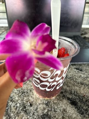 Selva Sana Acai, Juice & Salad Bar by null