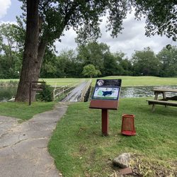 7th Hole