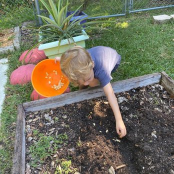 The Bilingual Cooperative Preschool - Kids can help in the garden and learn about nature - Elementary Schools Near Me - Miami, Florida The Bilingual Cooperative Preschool - Kids can help in the garden and learn about nature - Elementary Schools Near Me - Miami, Florida