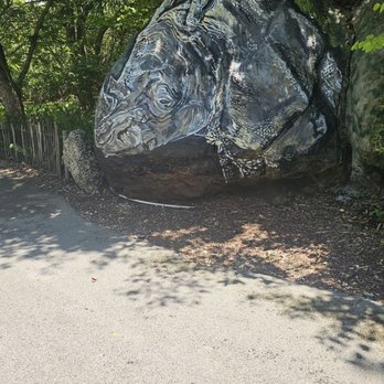 Zoo Miami - Rock with a cool drawing on it - Zoos Near Me - Miami, Florida Zoo Miami - Rock with a cool drawing on it - Zoos Near Me - Miami, Florida
