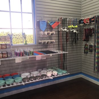 Social Pawz - Interior - Pet Boarding Near Me - Oakland Park, Florida Social Pawz - Interior - Pet Boarding Near Me - Oakland Park, Florida