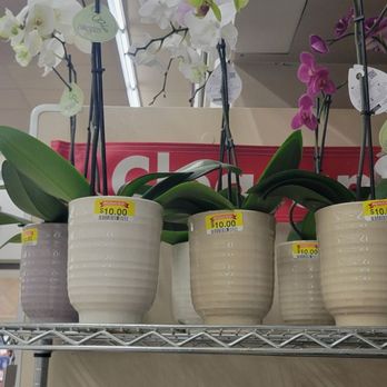 Smart & Final Extra! - Grocery Near Me - Laguna Niguel, California