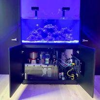 Old Town Aquarium by null