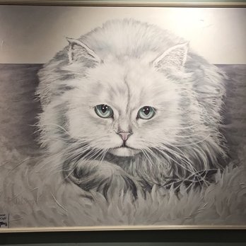 Le Cat Cafe - Beautiful picture on the wall - Pet Adoption Near Me - Philadelphia, Pennsylvania Le Cat Cafe - Beautiful picture on the wall - Pet Adoption Near Me - Philadelphia, Pennsylvania