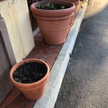 Gelson's Santa Barbara - Grocery Near Me - Santa Barbara, California
