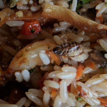 Applebee's Grill + Bar - Roaches all in my lunch... Happy Christmas eve - American Near Me - Orangeburg, South Carolina Applebee's Grill + Bar - Roaches all in my lunch... Happy Christmas eve - American Near Me - Orangeburg, South Carolina