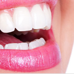 David Vine, DDS