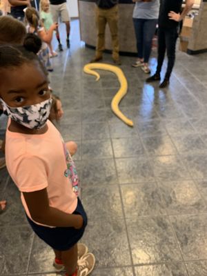 Museum of Arts and Sciences by null