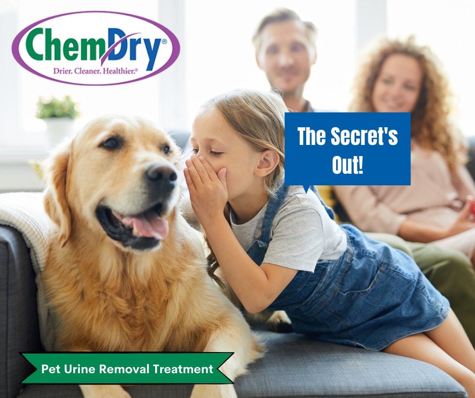 EXECUTIVE CHEMDRY Updated September 2024 12 Reviews Mission