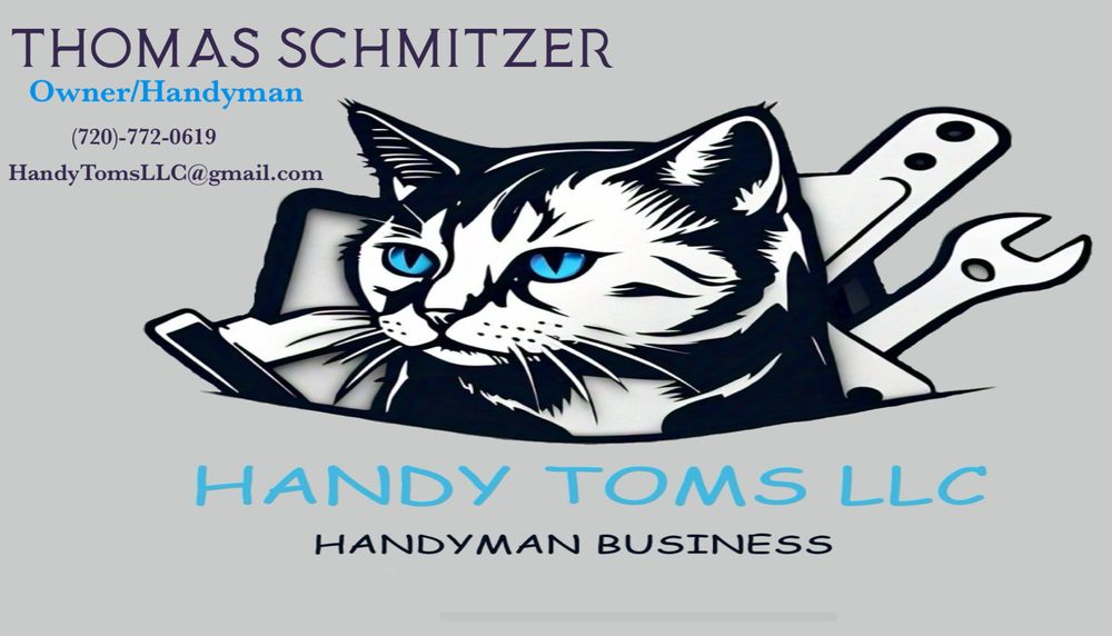 Slide of Handy Toms