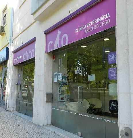 Clínica Veterinária Arco do Cego