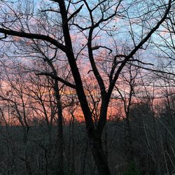 Lynn Woods Reservation