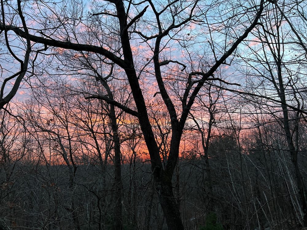 Lynn Woods Reservation Image