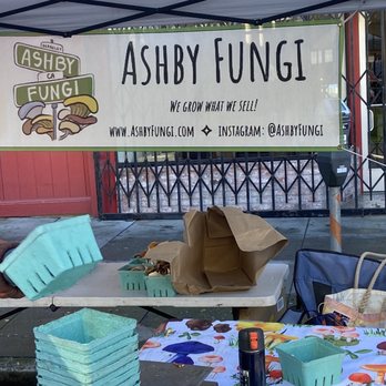 Ashby Fungi - Ashby Fungi at the Clement Street Farmers Market San Francisco - Farmers Market Near Me Ashby Fungi - Ashby Fungi at the Clement Street Farmers Market San Francisco - Farmers Market Near Me