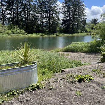 Riverside Fish n' Chips - Food Trucks Near Me - Nehalem, Oregon Riverside Fish n' Chips - Food Trucks Near Me - Nehalem, Oregon
