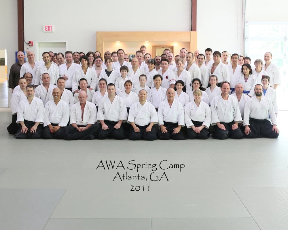 Aikido Association Atlanta - social services organization in Alpharetta, GA