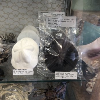 The Shell Shop - Arts & Crafts Near Me - Morro Bay, California The Shell Shop - Arts & Crafts Near Me - Morro Bay, California