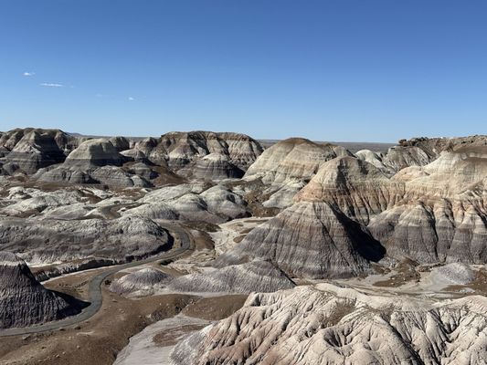 Petrified Forest National Wilderness Area by null