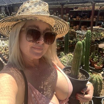 Cactus Mart - Nurseries & Gardening Near Me - Morongo Valley, California