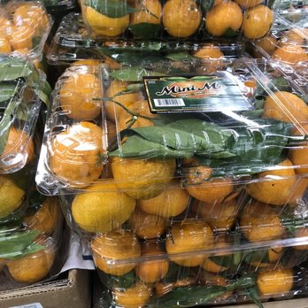Berkeley Bowl Marketplace - Oranges in plastic for no reason!!! - Grocery Near Me - Berkeley, California Berkeley Bowl Marketplace - Oranges in plastic for no reason!!! - Grocery Near Me - Berkeley, California