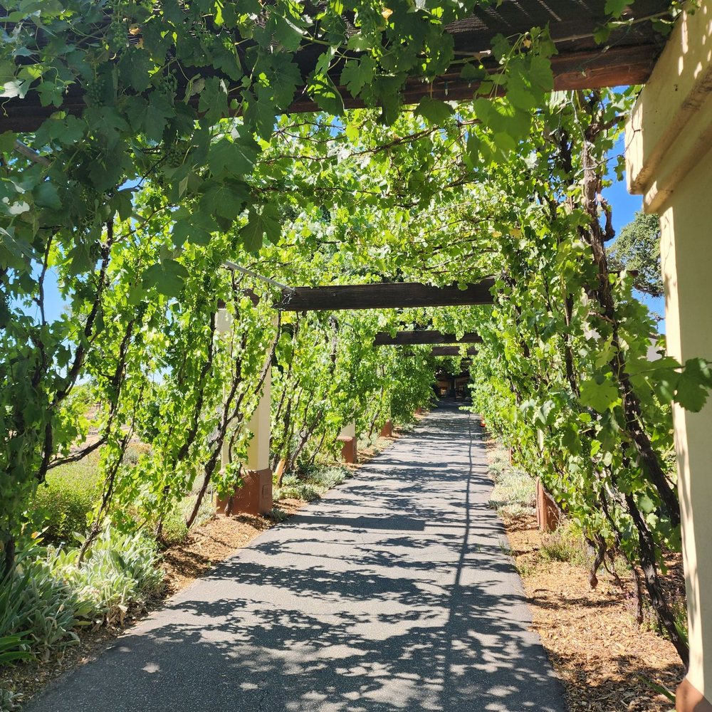 Castoro Cellars - Wineries Near Me - Templeton, California