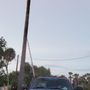 The Trusted Traveling Tree Trimmers