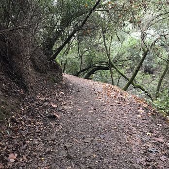 Greenbelt Trails - Ward Creek Road Trail - Hiking Near Me Greenbelt Trails - Ward Creek Road Trail - Hiking Near Me