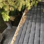 Photo of J & J Diamond Facilities Services