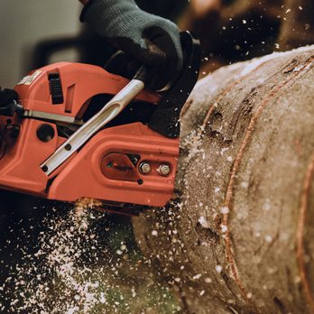 Big Ease Tree Service - Tree Services Near Me