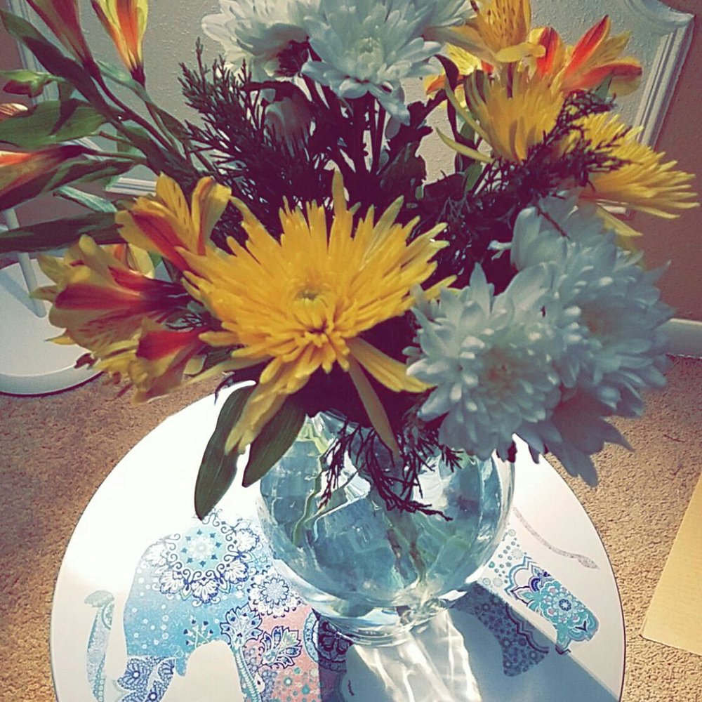Trader Joe's - $3.99! - Grocery Near Me - Houston, Texas