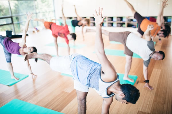 The Hive North Shore and Hive Yoga by null