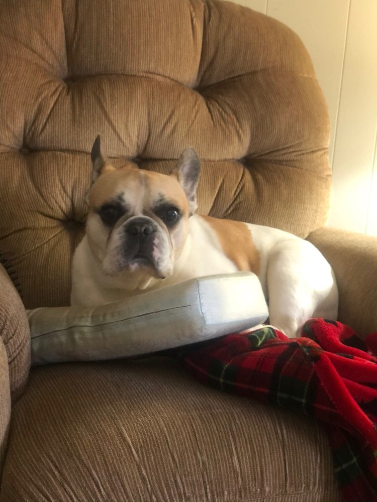 BRITTON ROAD VETERINARY CLINIC Updated May 2024 36 Photos & 66