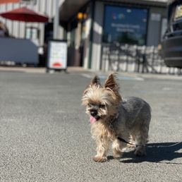 Pet friendly patio!