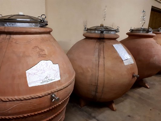 Domaine Jean-François Ganevat by null