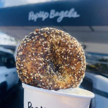 PopUp Bagels - Everything for everyone Everything Bagel - Bagels Near Me - Tampa, Florida PopUp Bagels - Everything for everyone Everything Bagel - Bagels Near Me - Tampa, Florida