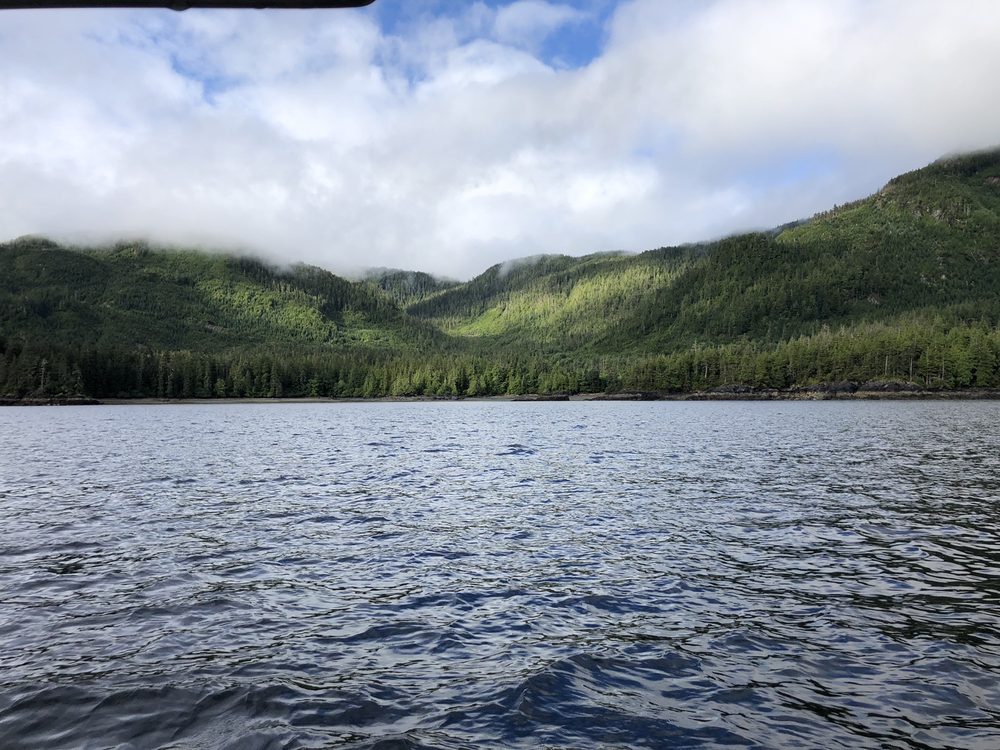ALASKA’S BOARDWALK LODGE Updated August 2024 26 Photos 1 Cook's