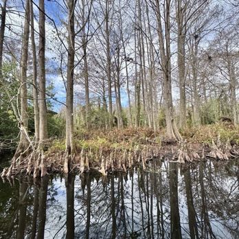 Airboat Wildlife Adventures - Beautiful scenery - Boating Near Me - Sebring, Florida Airboat Wildlife Adventures - Beautiful scenery - Boating Near Me - Sebring, Florida
