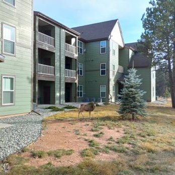 Trail Ridge at Woodland Park Apartments - Apartments Near Me - Woodland Park, Colorado Trail Ridge at Woodland Park Apartments - Apartments Near Me - Woodland Park, Colorado
