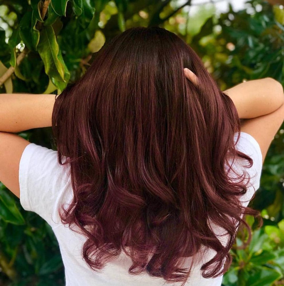 SALON DULAY AVEDA Updated September 2024 211 Photos & 125 Reviews