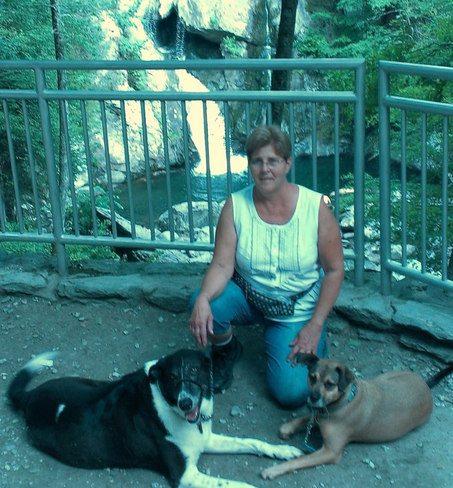 HOME COMFORT PET SITTING SERVICE Updated August 2024 105 River Rd