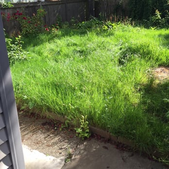 Randall Berg & Associates - Randall Berg & Associates let our yard and house go while they were paid and supposed to be managing the property - Real Estate Services Near Me - Seattle, Washington Randall Berg & Associates - Randall Berg & Associates let our yard and house go while they were paid and supposed to be managing the property - Real Estate Services Near Me - Seattle, Washington