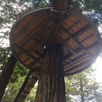 Redwoods Treewalk & Nightlights - Parks Near Me - Rotorua, BOP